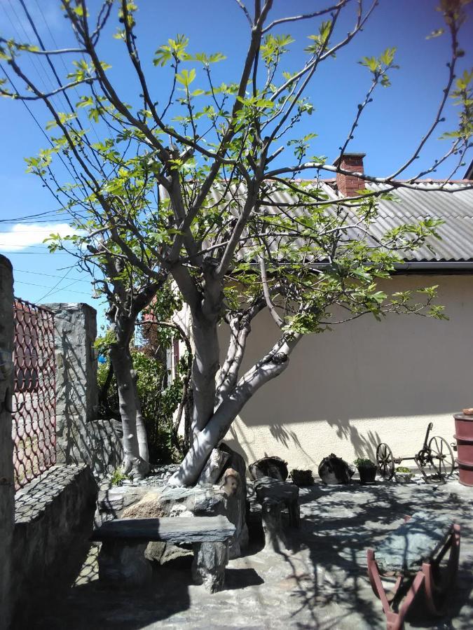 Apartmani Pinkum Veliko Gradište Exteriör bild