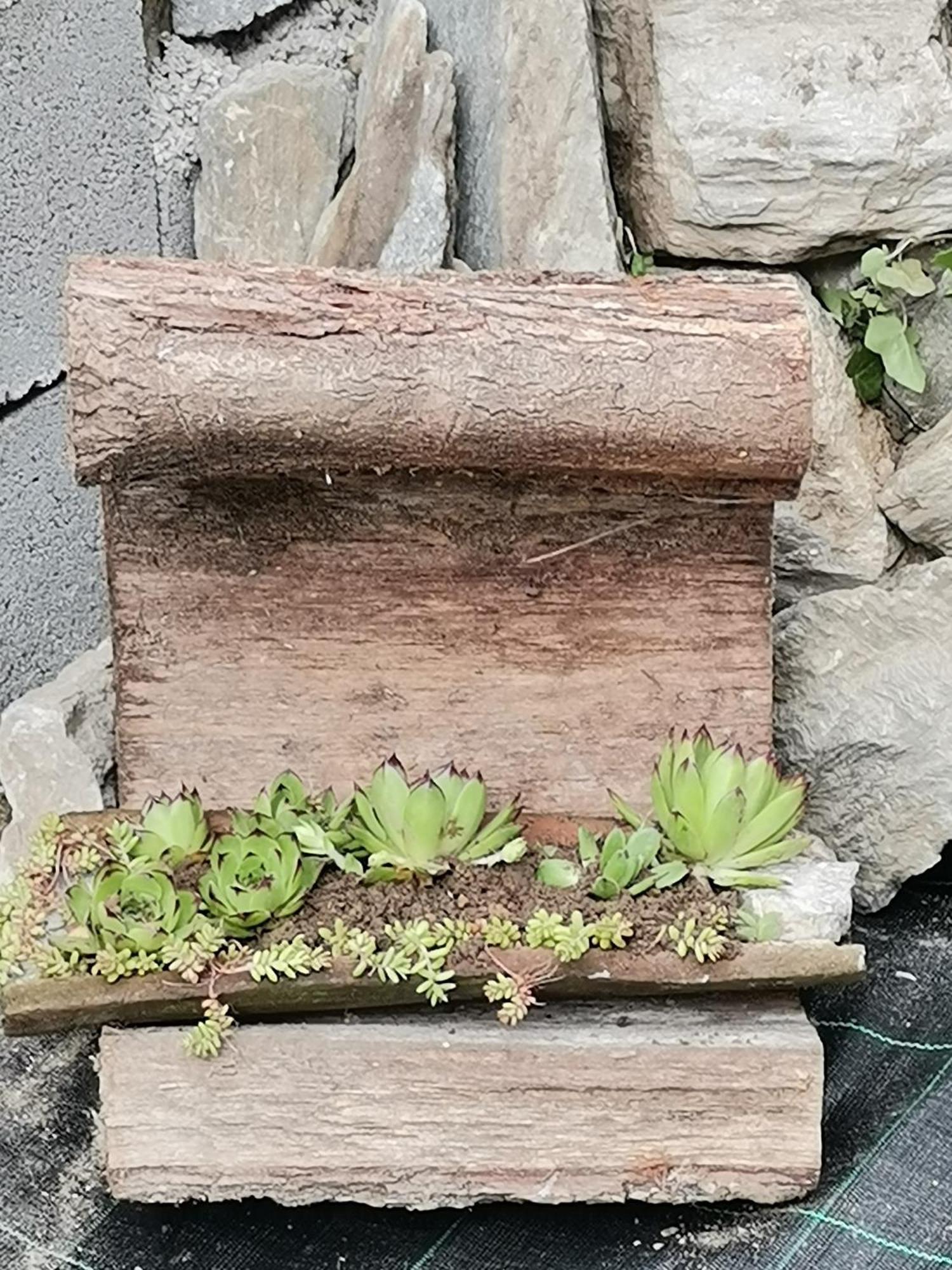 Apartmani Pinkum Veliko Gradište Exteriör bild